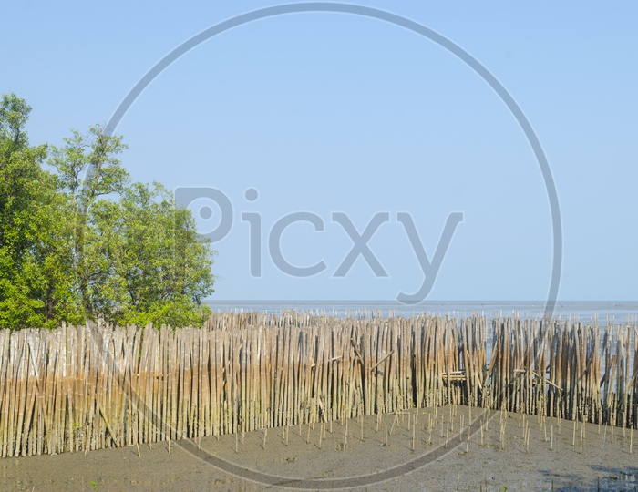 Bamboo Fence to Protect Sandbank from Sea Wave, Thailand