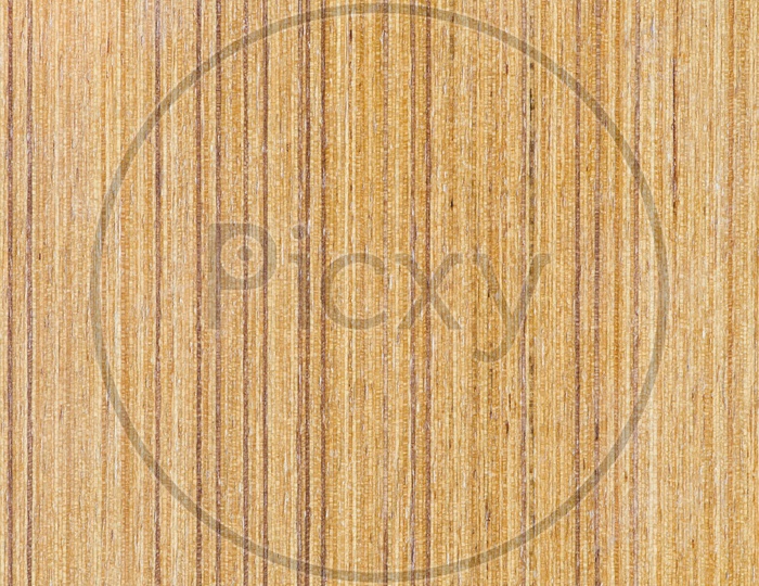 abstract texture of wood background closeup