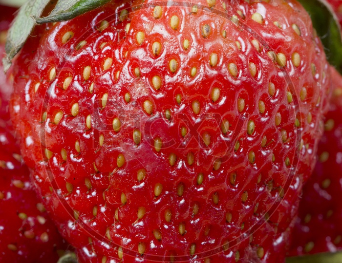 Closeup Shot of Yummy Strawberries