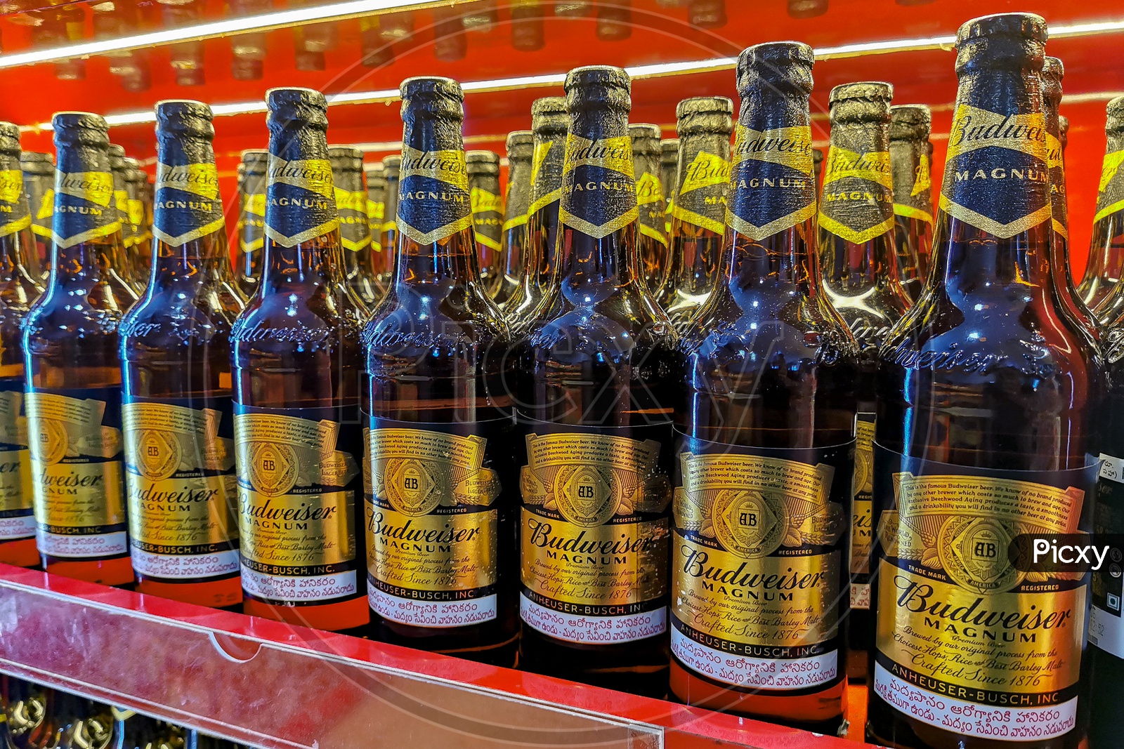 Budweiser Magnum Beer Bottles in Liquor mall or Mart