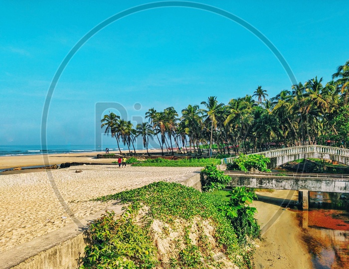 A scenic view of Colva Beach, Goa.
