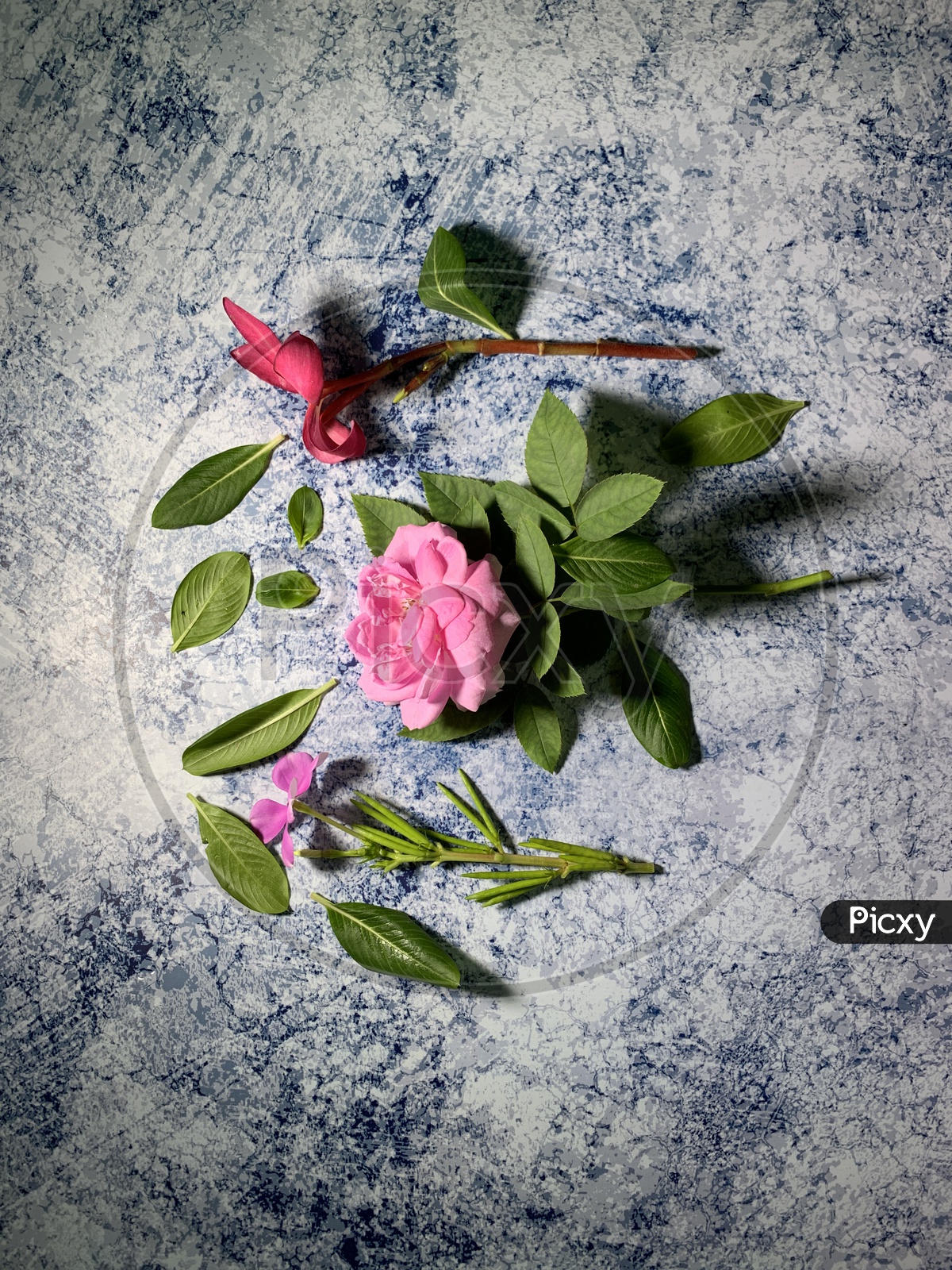 Fresh Blooming Flowers On an Texture Marble Floor Background