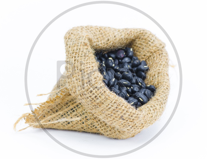 Blue Beans in small sack