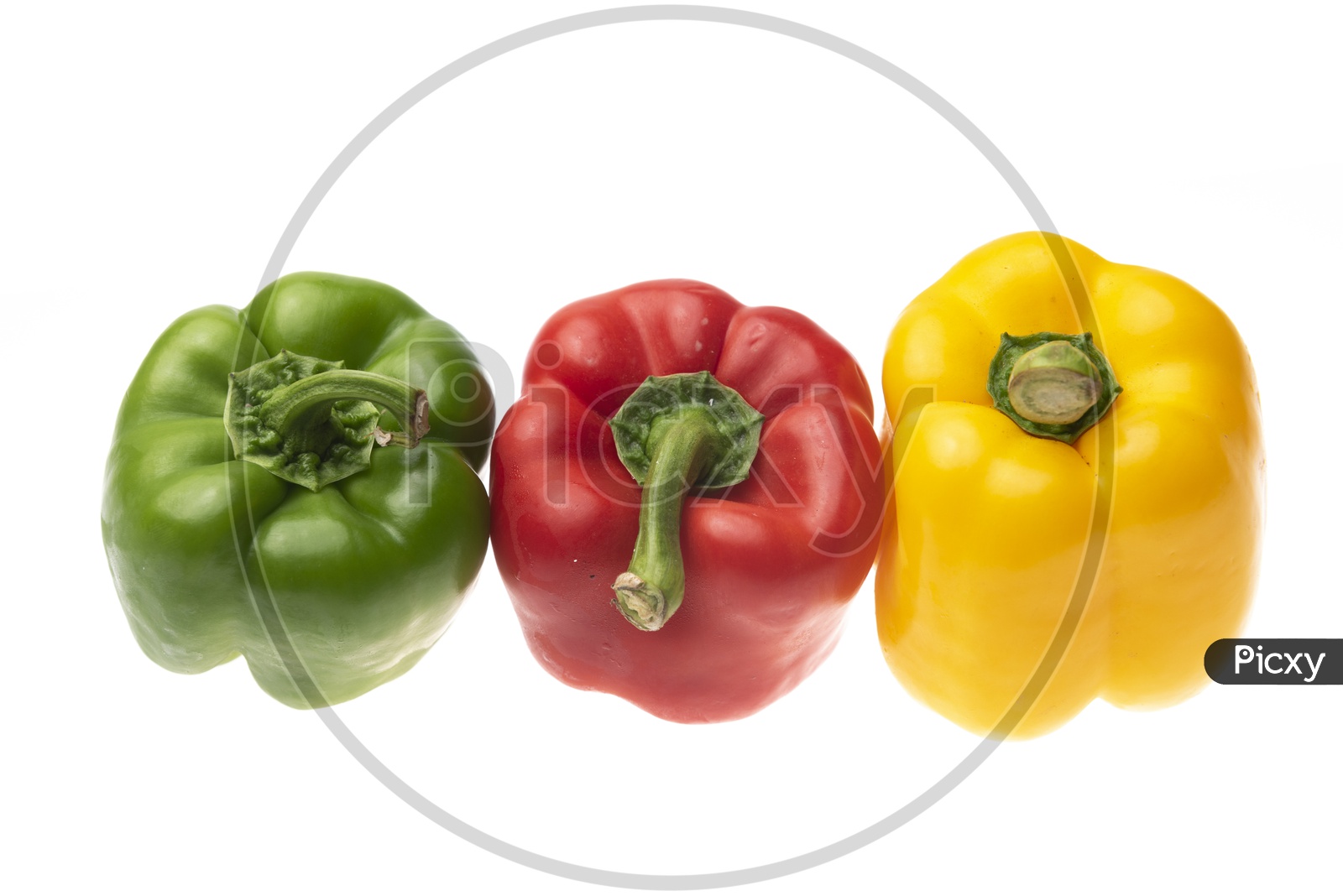 Colourful Bell Pepper  on Isolated White Background