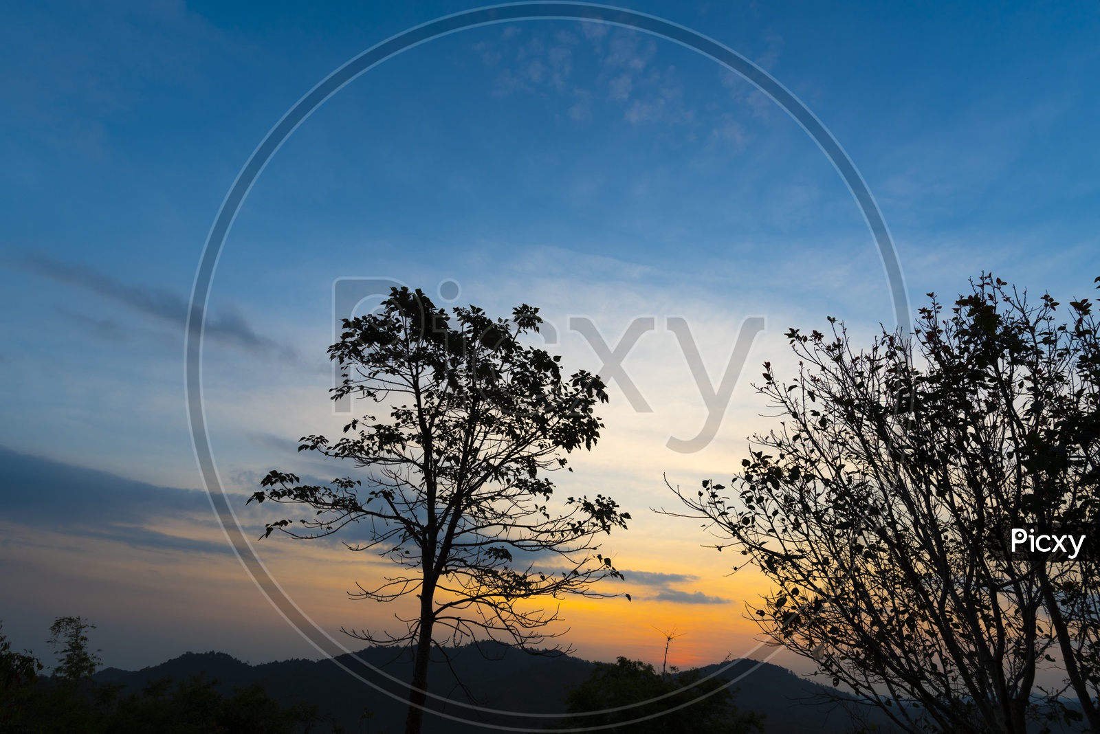 A forest view in Thailand during Sunset