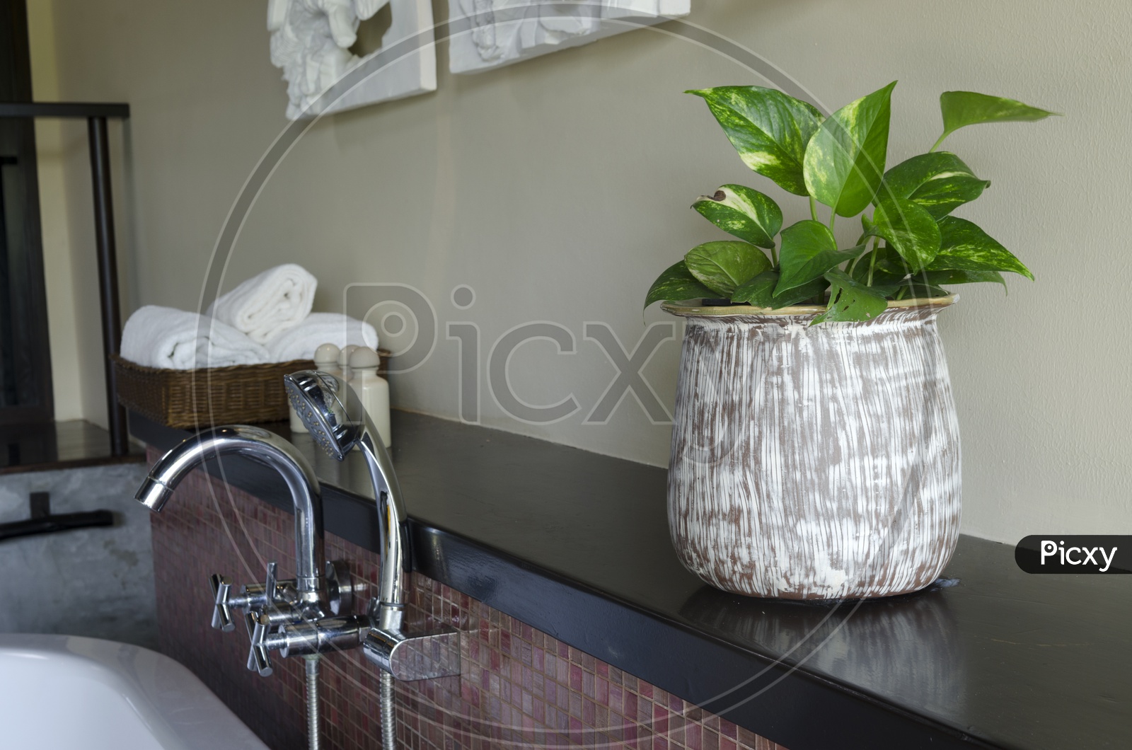 A decorative indoor plant pot