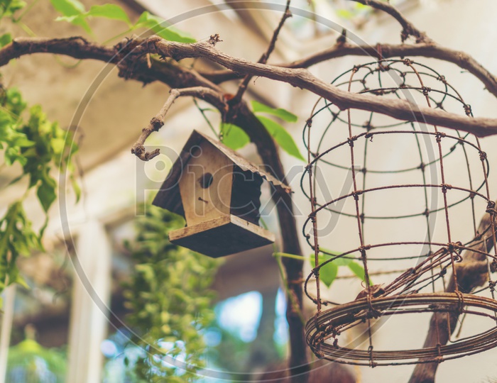 Cage and Bird house  In a Cafe exterior