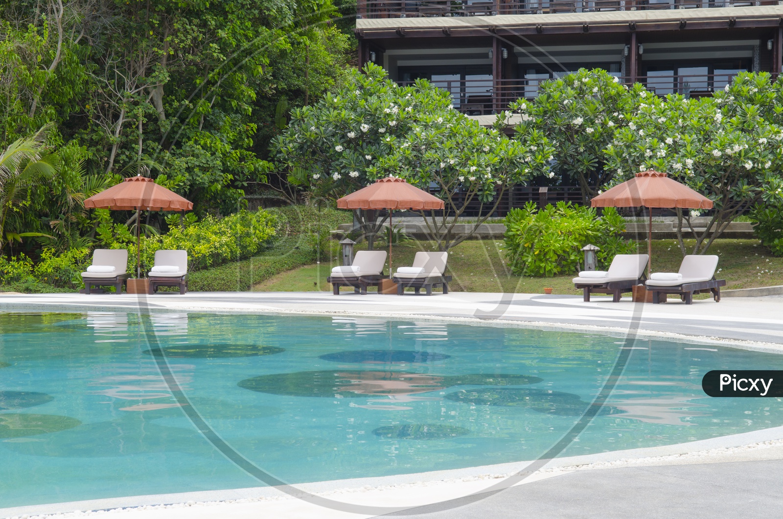 A Swimming pool in Thai Resort
