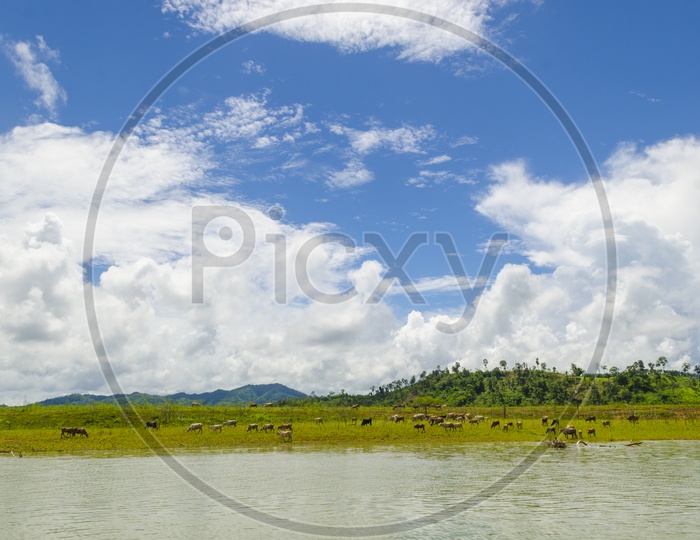 A Thai Lake Landscape