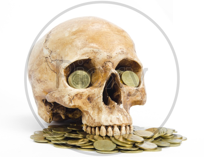money concept with human skull