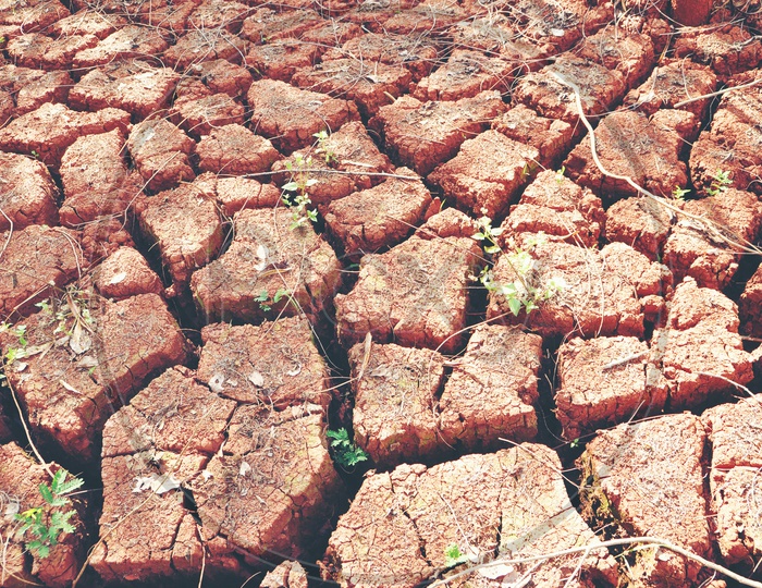 Drought Land With Dry Cracked Soil