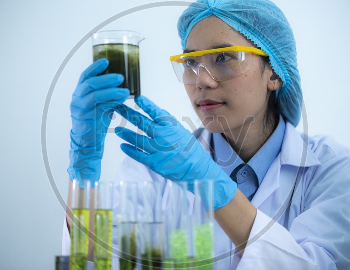 Photobioreactor in lab algae fuel biofuel industry, Algae fuel, Algae research in industrial laboratories