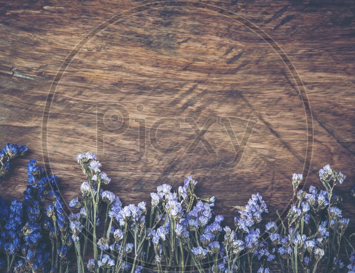 abstract texture background of dry flowers with wooden background