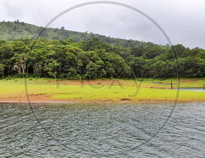 Eco Point In munnar With Lake
