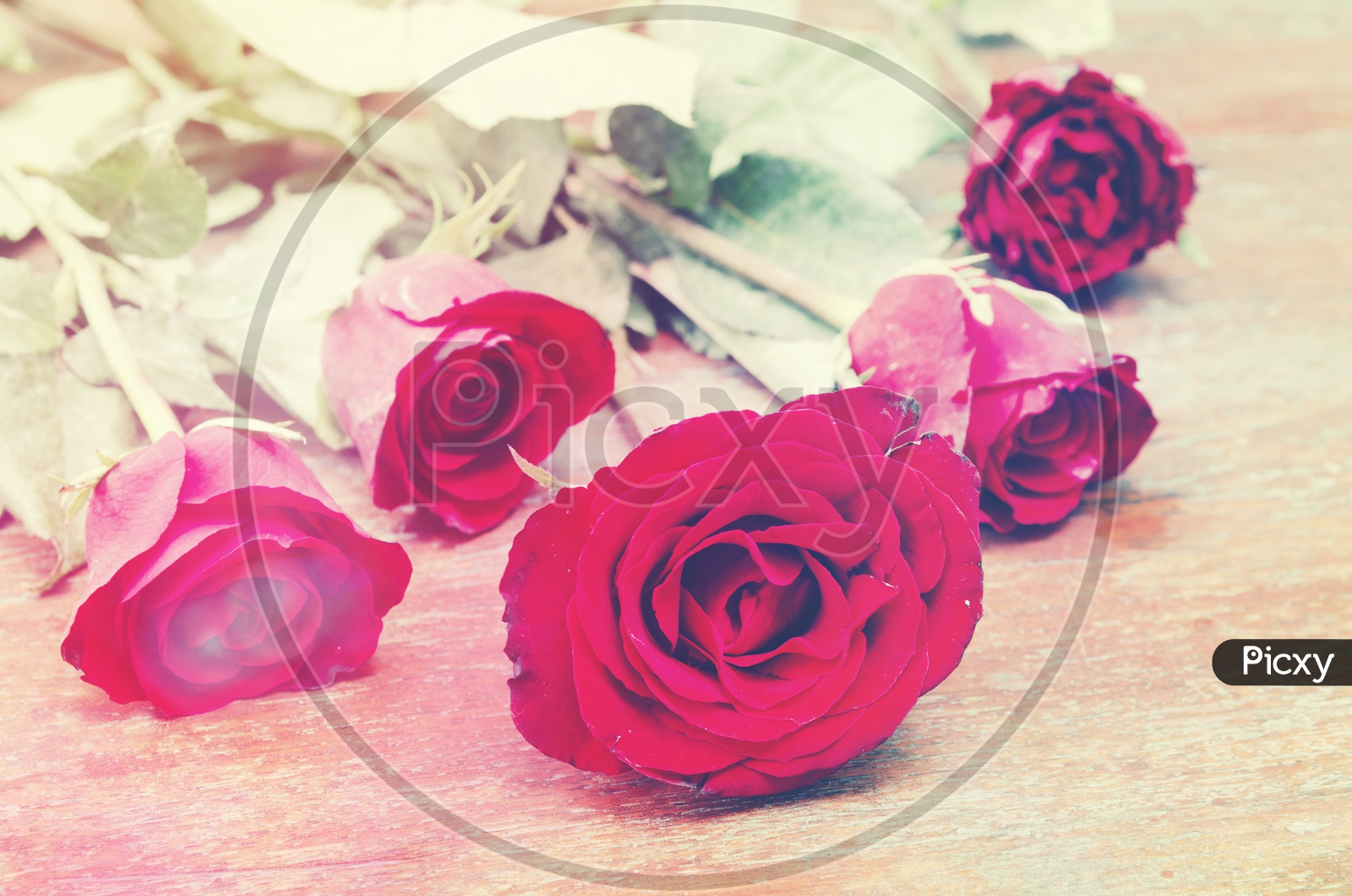 Retro Rose Flowers On Wooden Background With Vintage Filter