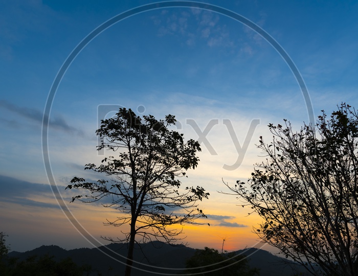 A forest view in Thailand during Sunset
