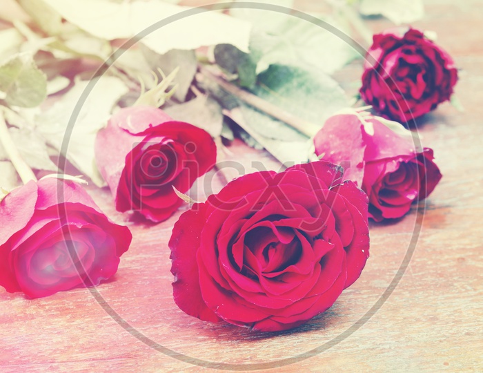 Retro Rose Flowers On Wooden Background With Vintage Filter