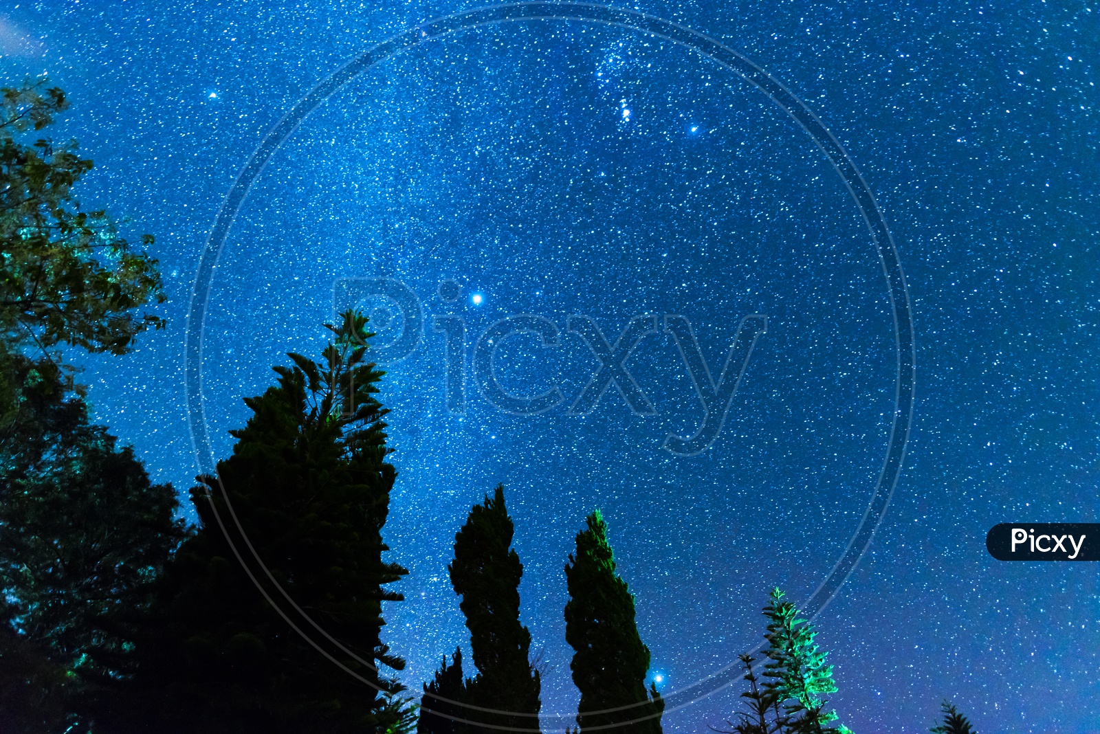 A milky way sky with pine tree forest in Thailand