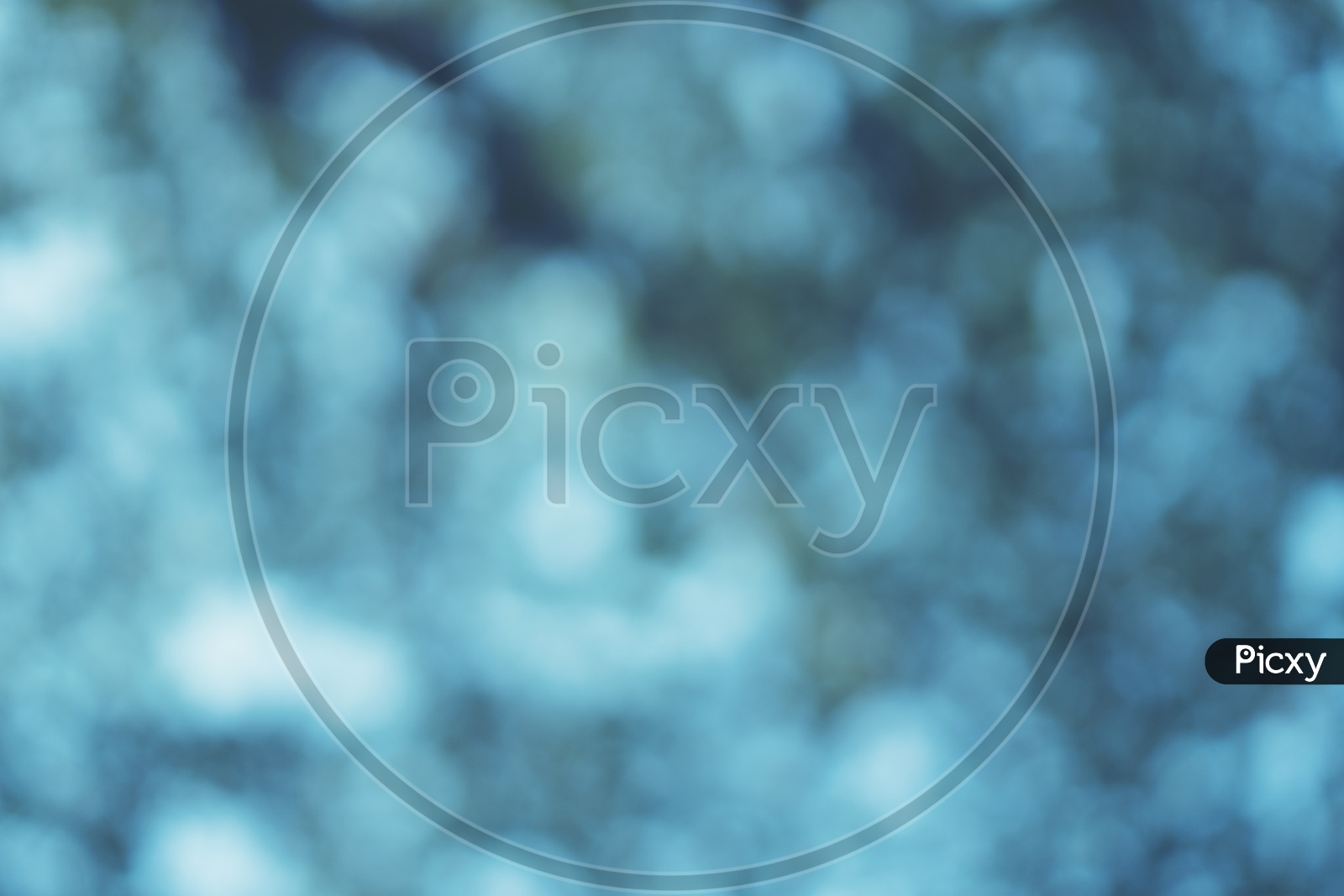Abstract Bokeh Of Tree Branch Background