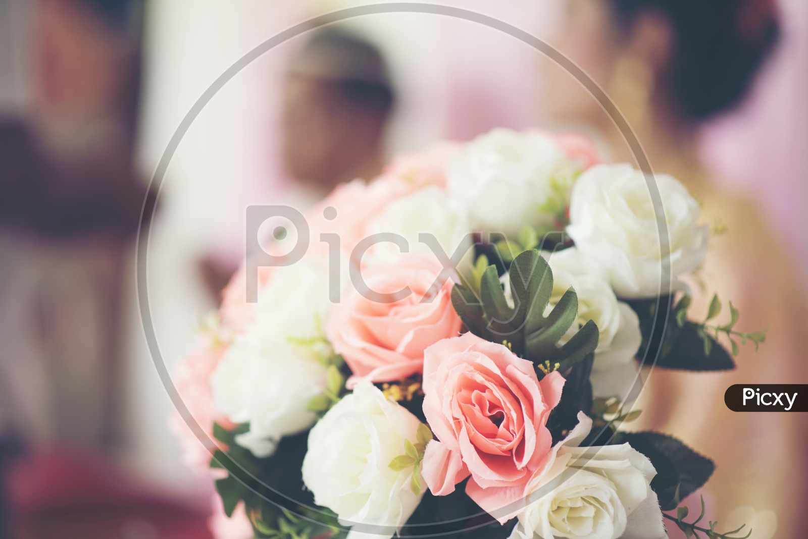 Fresh Rose Flowers In a Bouquet Closeup Forming a Background For Valentine's Day Or Lovers Day