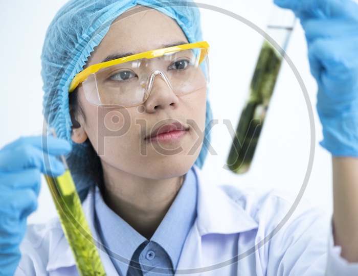 The scientist test the natural product extract, oil and biofuel solution, in the chemistry laboratory