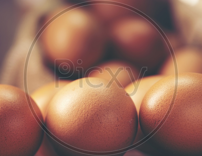 Organic Brown Chicken Eggs  Closeup