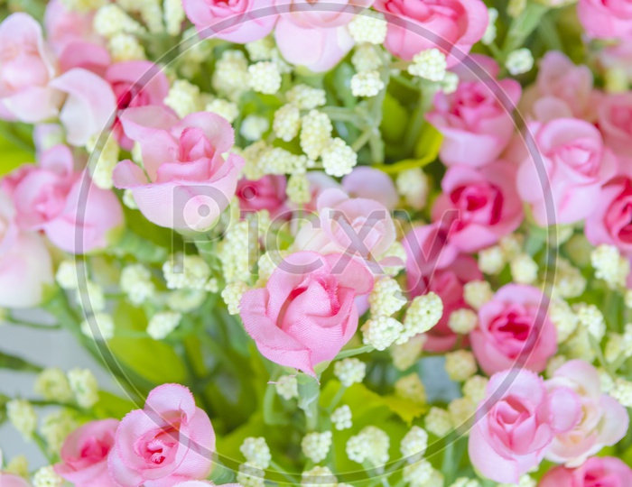 Roses In a Bouquet  Closeup Forming a Background