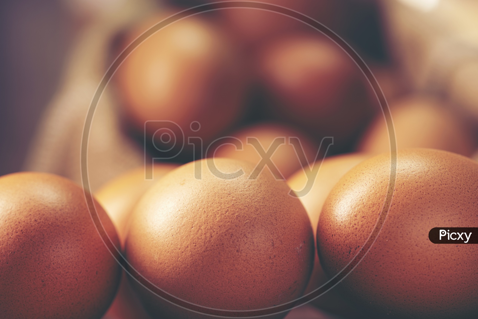 Organic Brown Chicken Eggs  Closeup