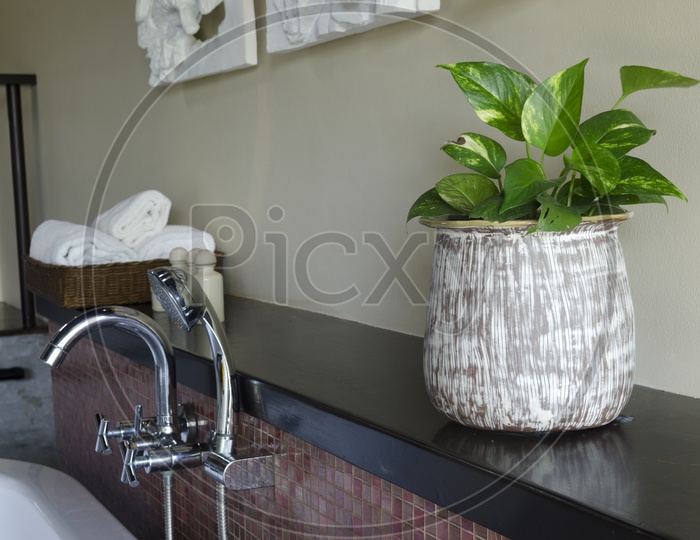 A decorative indoor plant pot