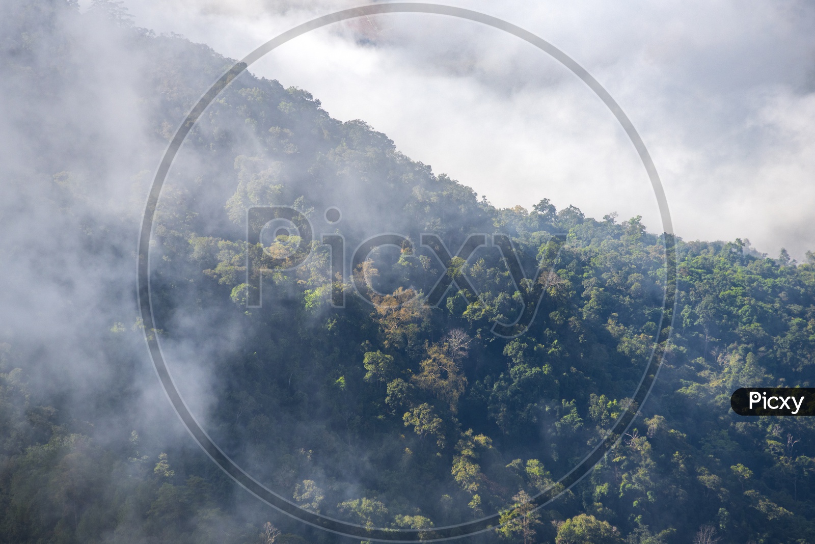 Nature With Mountain Valley and Green Trees and Mist Fog Clouds