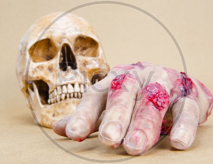 A Wounded Human hand and a skull