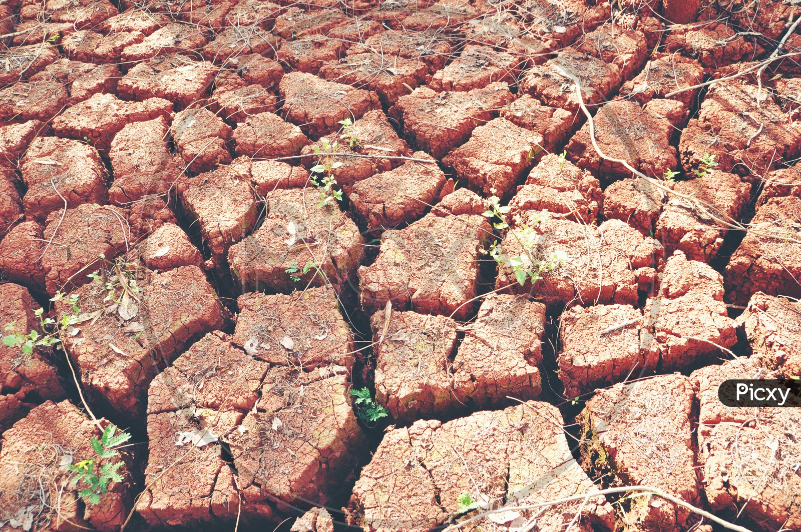 Drought Land With Dry Cracked Soil