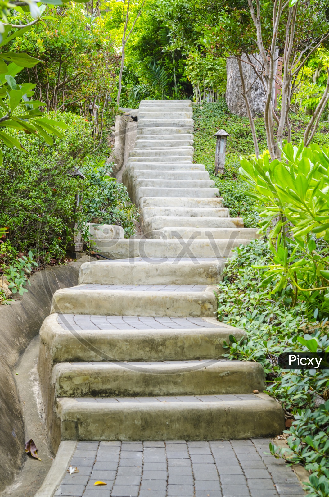 A Stone stairway in the Thai Urban Park