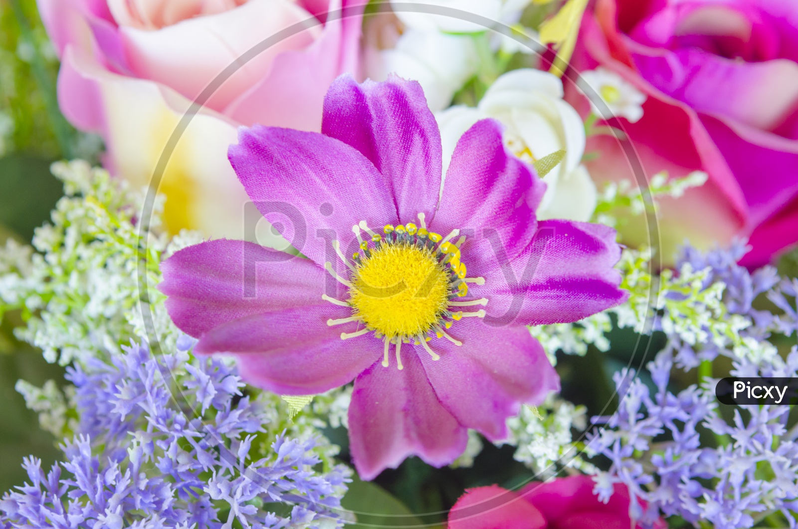Fresh Flowers In a Bouquet Closeup Forming a Background