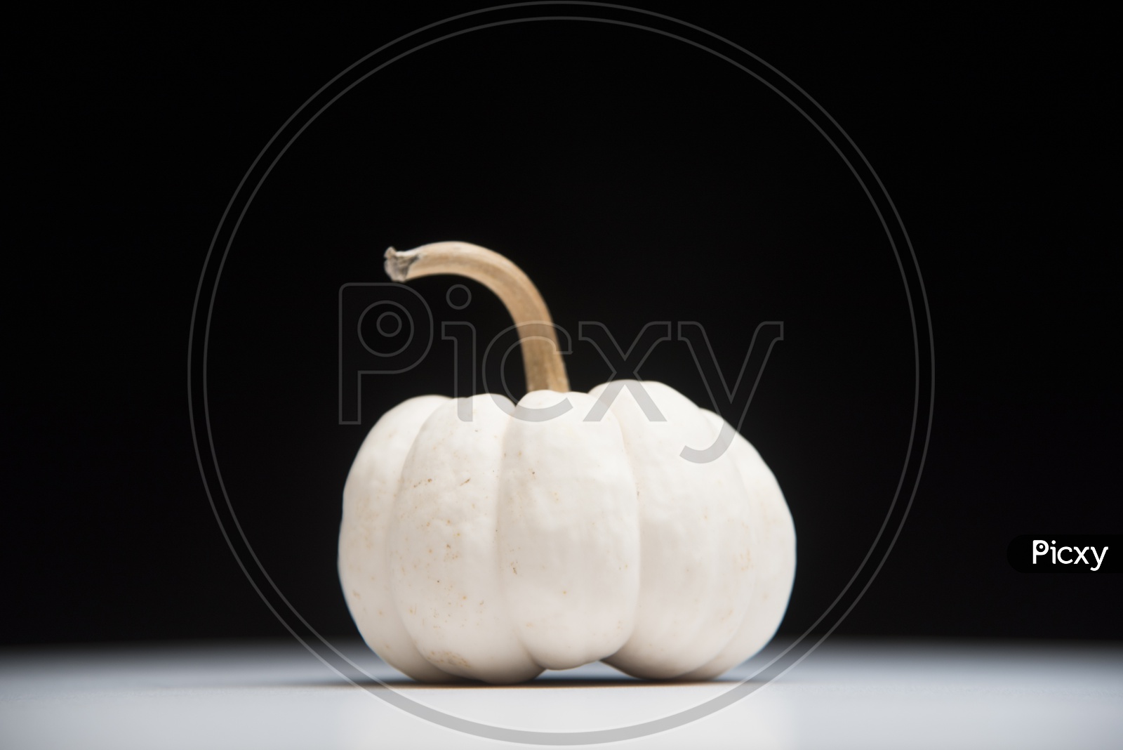 white pumpkin isolated on black background