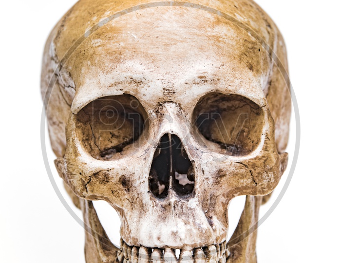 Close up of Virtual reality Human skull