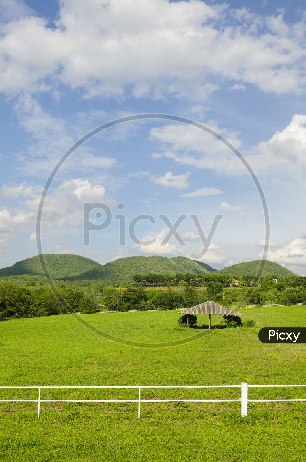Image of White concrete fence in horse farm field of ThailandSD840891