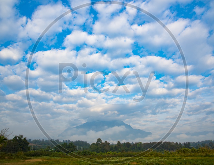 Nature Fields With Cotton Clouds In Blue Sky