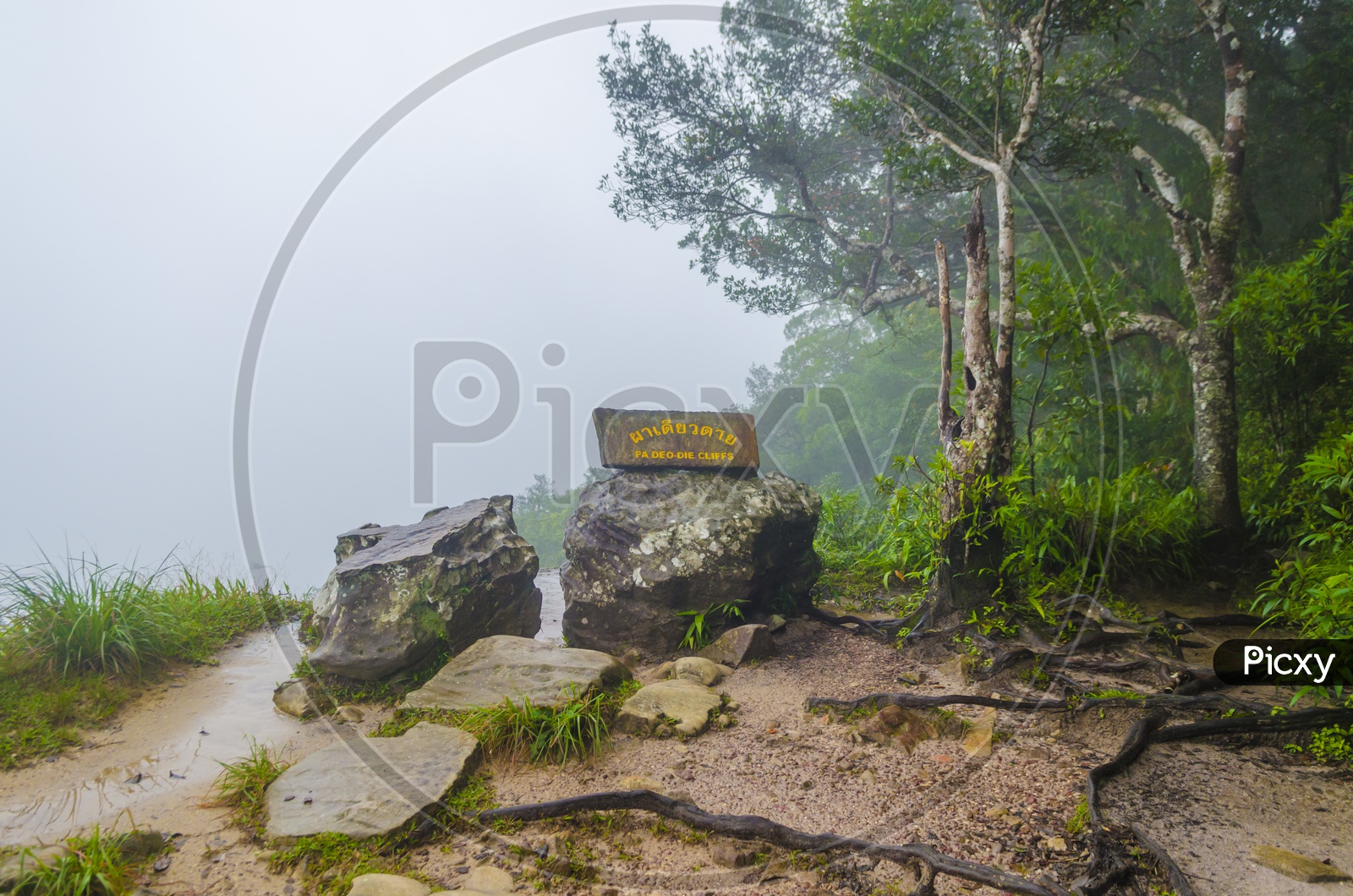 Pa Deo Die Cliffs at Khao Yai National Park, Thailand