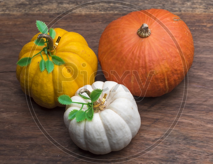 Orange, white and yellow raw pumpkins harvest on table, top view