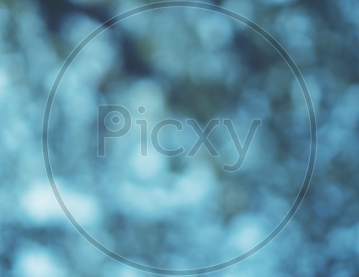 Abstract Bokeh Of Tree Branch Background