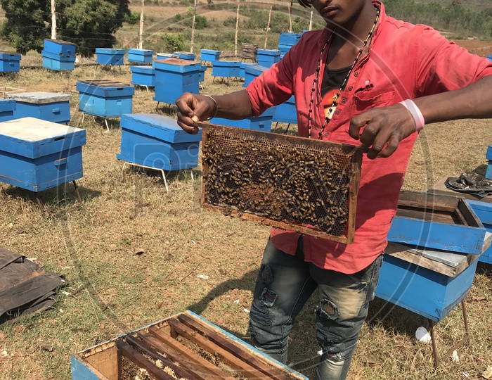 The beekeeping guy showing the Honey Bee Tray that is used for extracting honey out of Honey Bees