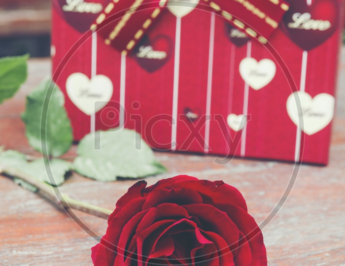 Valentine's Day or Lovers Day Template For greetings With  Red Rose Flower and Red Love Hearts