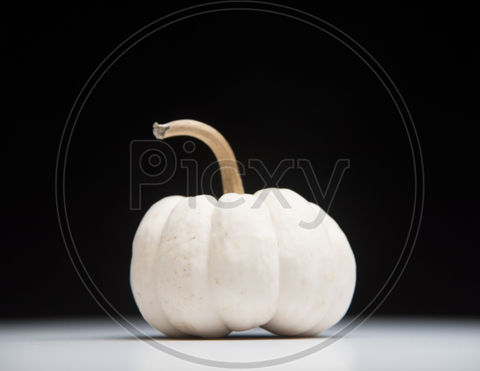 white pumpkin isolated on black background