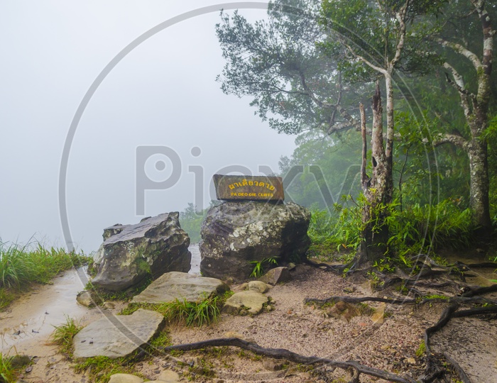 Pa Deo Die Cliffs at Khao Yai National Park, Thailand