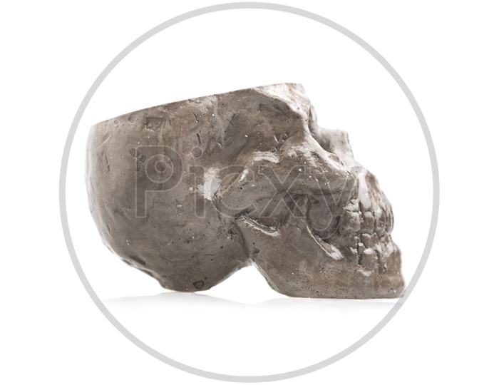 A Human skull