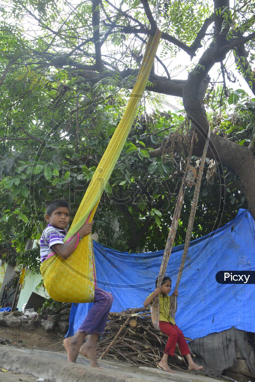 Indian  Children Playing With Swings  Tagged To trees