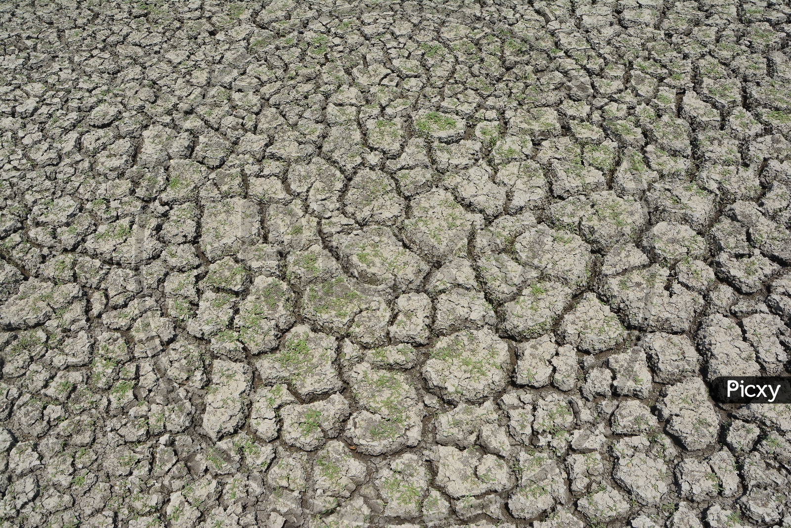 Drought Land With Dry Cracked Soil Surface
