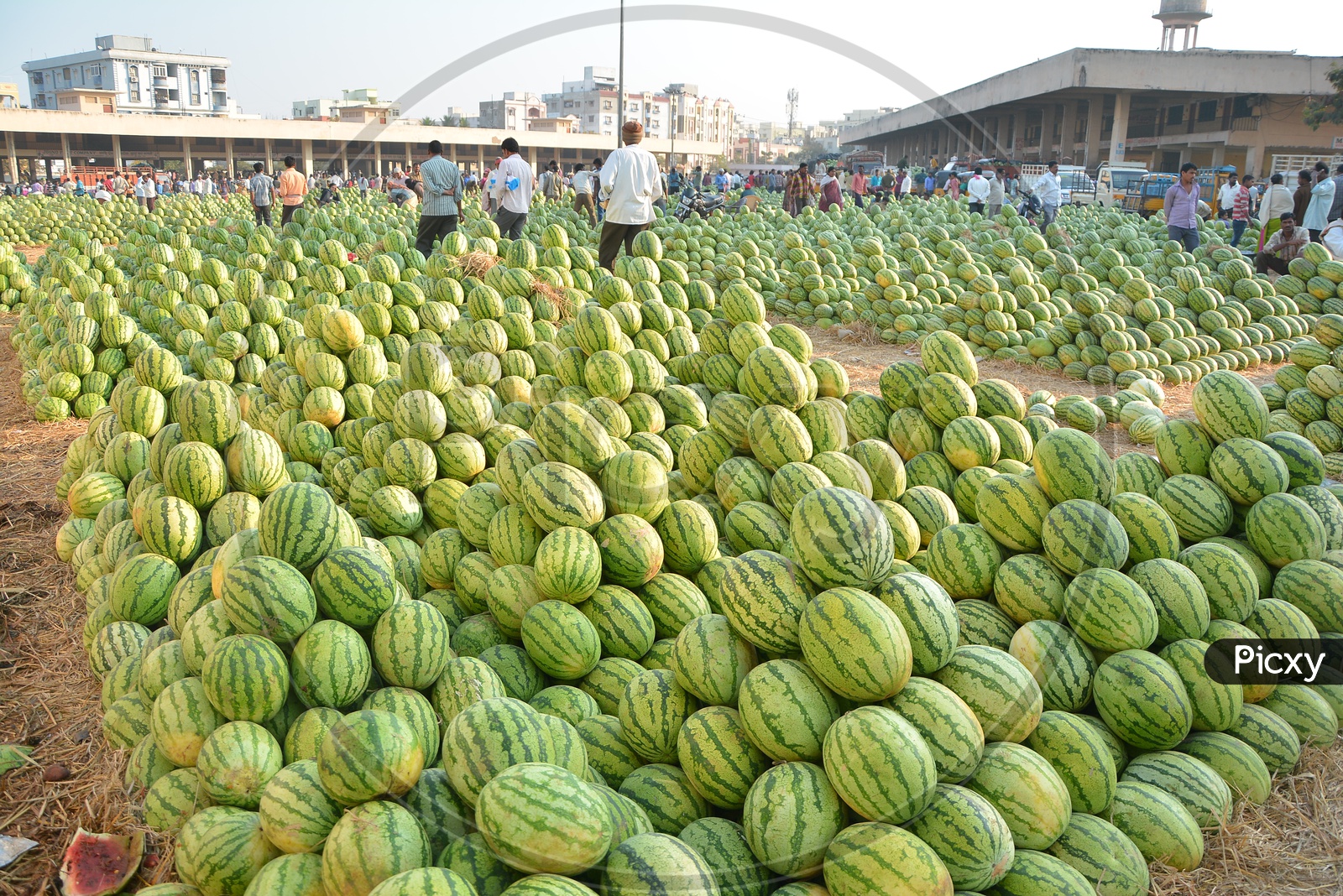 Fruit Market With Piles Of Watermelons in Kothapeta , Hyderabad