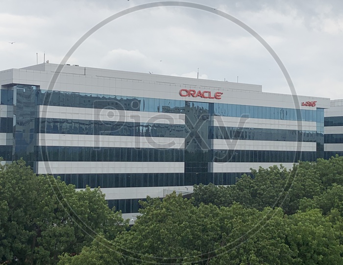 Oracle building with green trees